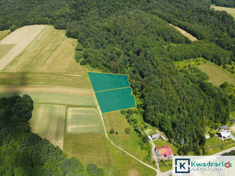 sprzedaży działki 4527m2 Lalin