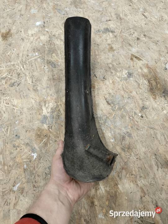 Komar błotnik przedni Rozkochów