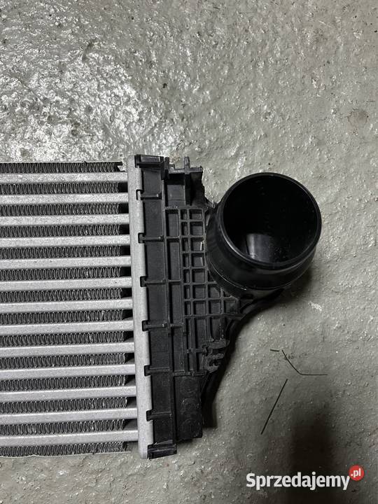 Ford focus m4 intercooler Mnich