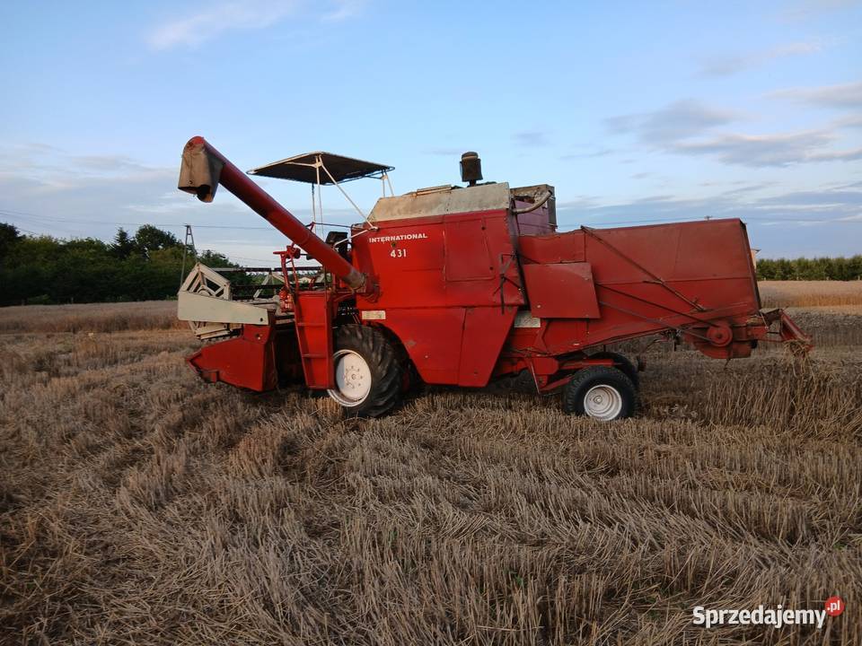 Kombajn zbożowy International IHC 431 31m Zbożowe Bratoszewice sprzedam