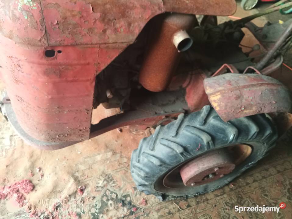 Sprzedam dzik 2 nieuszkodzony podkarpackie