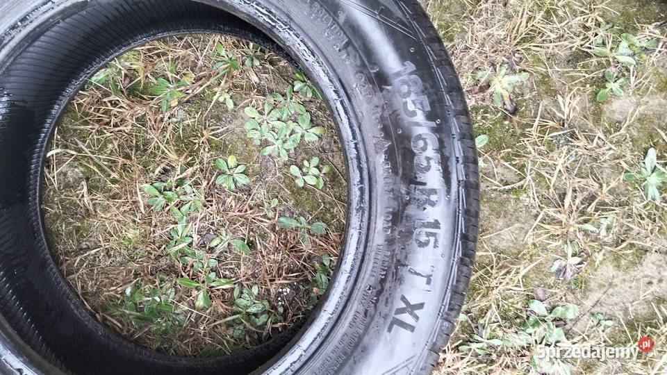 Opony wielosezonowe 1560185