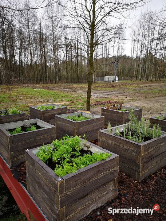 Skrzynia inspektowa warzywniak eko donica Rzeszów