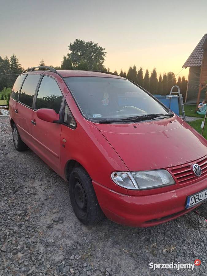 Sharan dolnośląskie Ocice