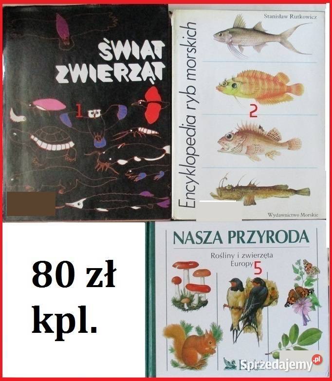 Bezkrwawe łowy Puchalski Świat zwierząt przyroda łódzkie Łódź