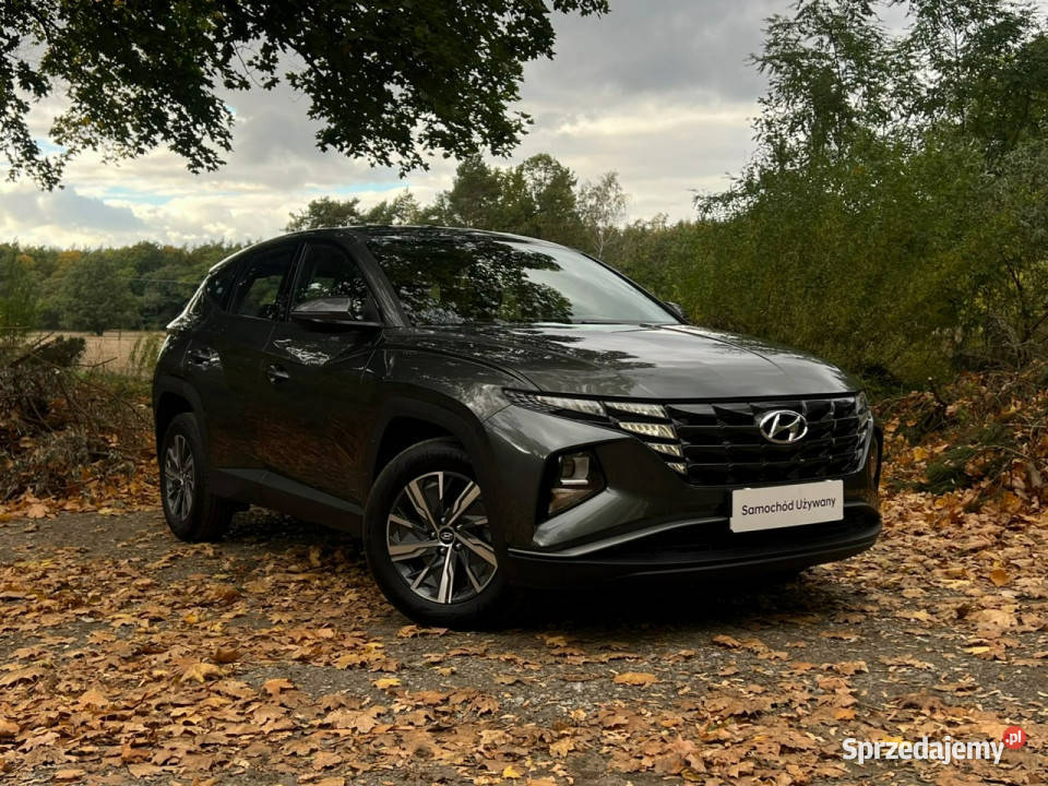Hyundai Tucson 16TGDI 6MT 150 Modern Car Play wielofunkcyjna kierownica Piotrków Trybunalski