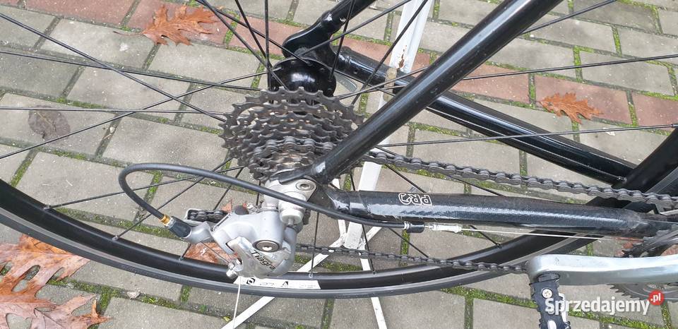 Rower szosowy Scott Speedster 30 Rozmiar XL Rydułtowy sprzedam