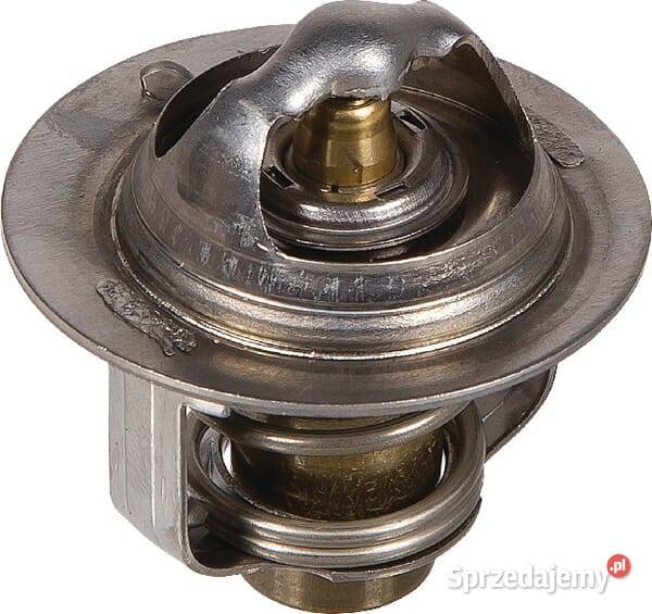 Termostat 193100701 Kamionna