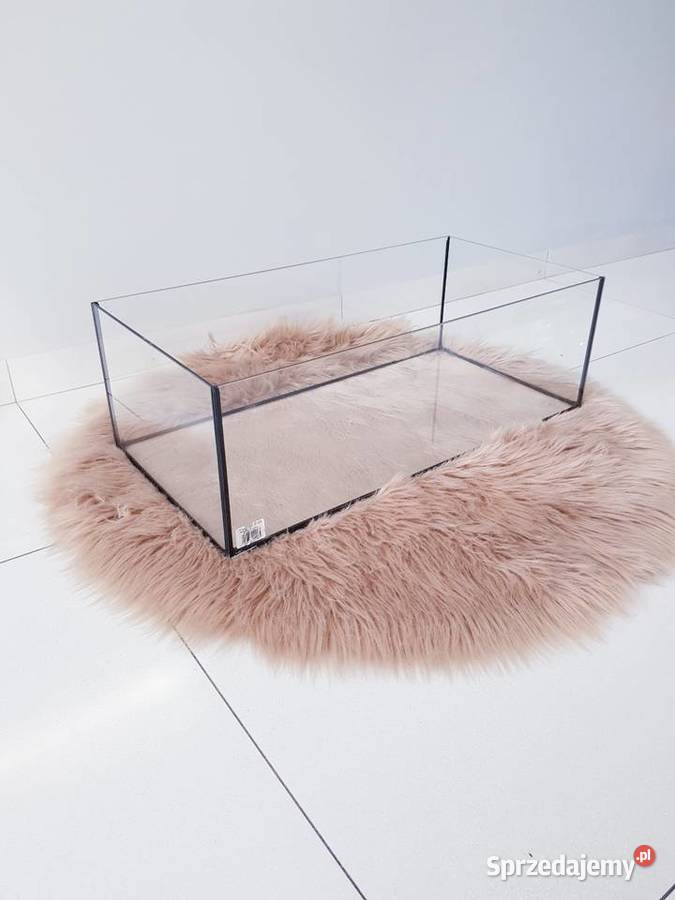 Akwarium terrarium aquaterrarium żółwia Terrarystyka Dąbrowa Górnicza