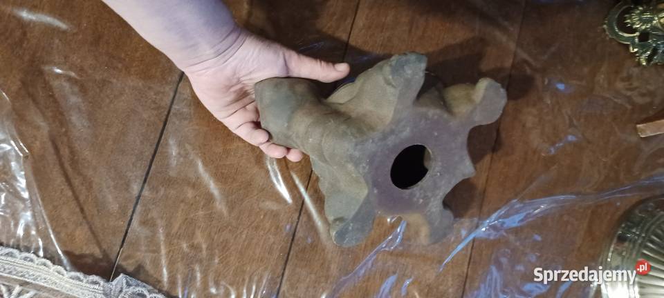 ŻÓLW GLINA CERAMIKA Poznań