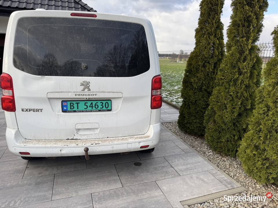 Sprzedam Peugeot exspert elektryczne lusterka Wola Okrzejska