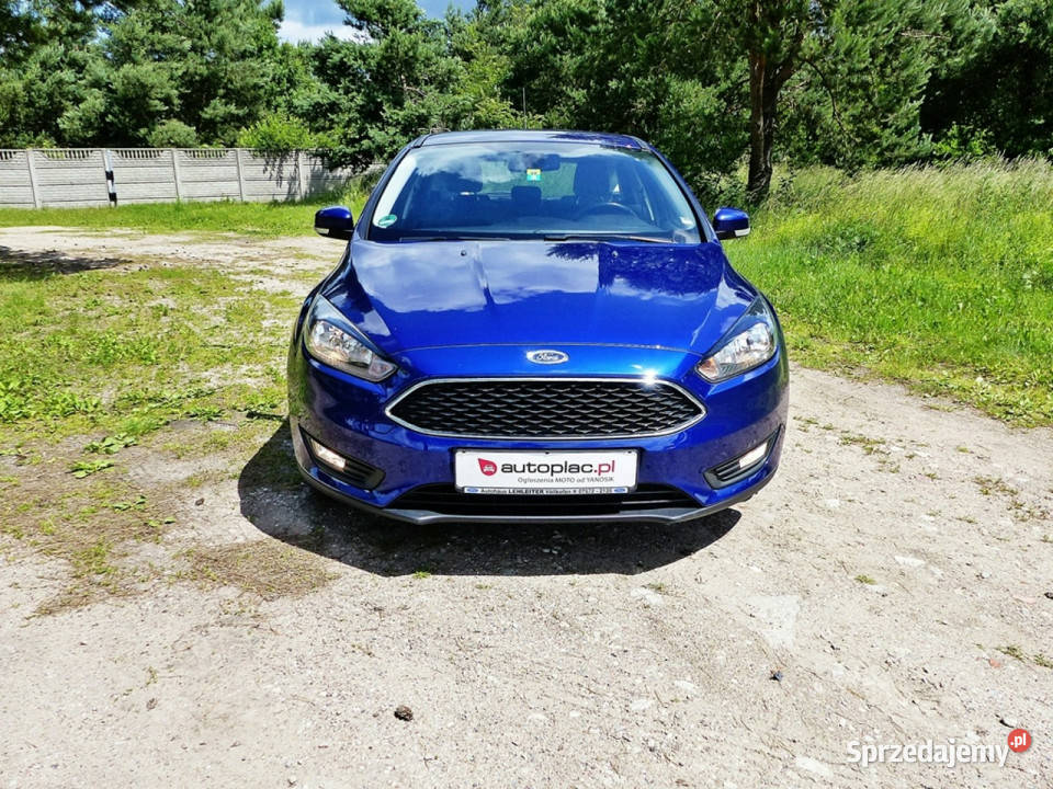 Ford Focus 10 EBClimatronicAluElektrykaKolorowe 1000cm3 Piła