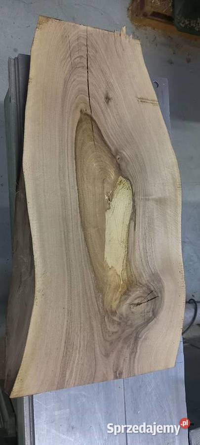 deska monolit ryba Błotnica Strzelecka