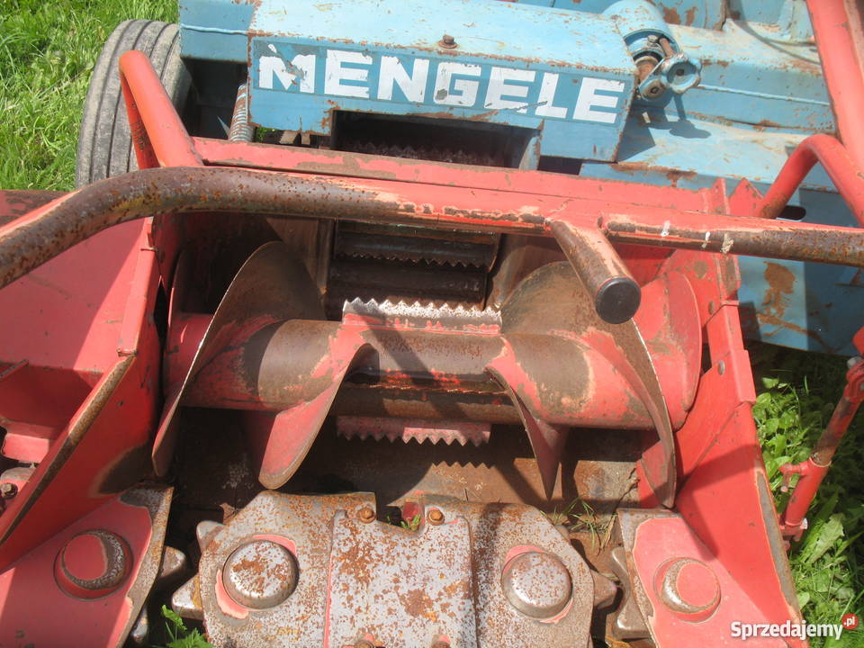 Sieczkarnia do kukurydzy dwurzędowa Bagniewko