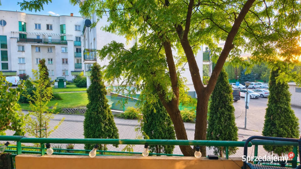 Sprzedam 2 pokoje garaż piwnica loggia 595m2 Sprzedaż Sprzedaż Warszawa