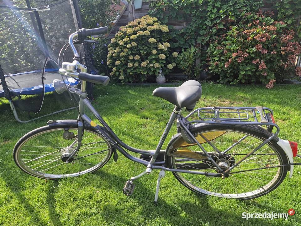 Rower Gazelle Impala 28 Czersk