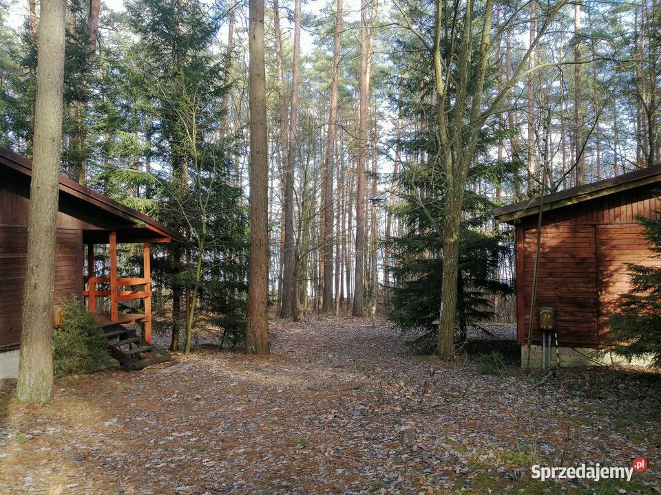 Domek Jagoda Mazury jeziorem Sasek Wielki nocleg