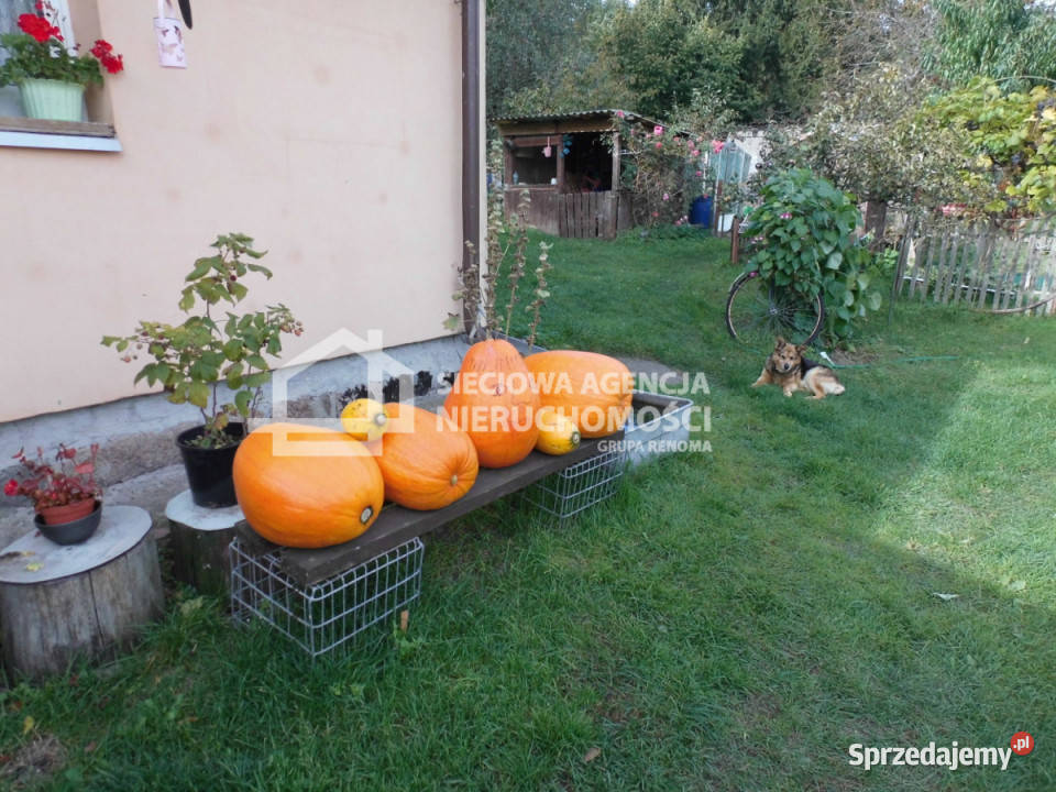 Dom wolnostojący Zielątkowo 1456m2 Sprzedaż pomorskie