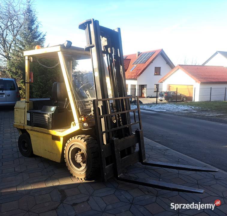 Eagle śląskie Bielsko-Biała