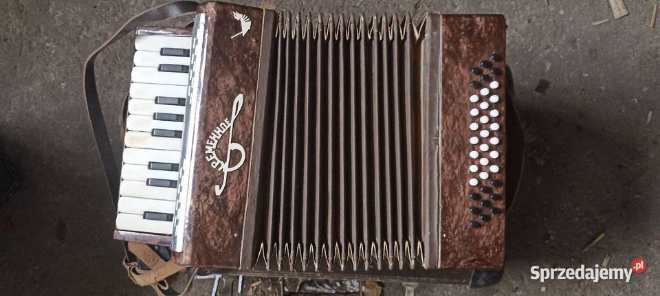 Akordeon