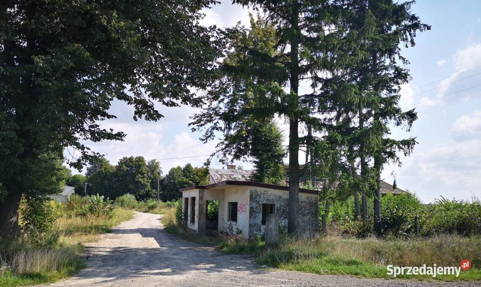 Nieruchomość inwestycyjna dawny PGR pow 51621 m2 Tuczna