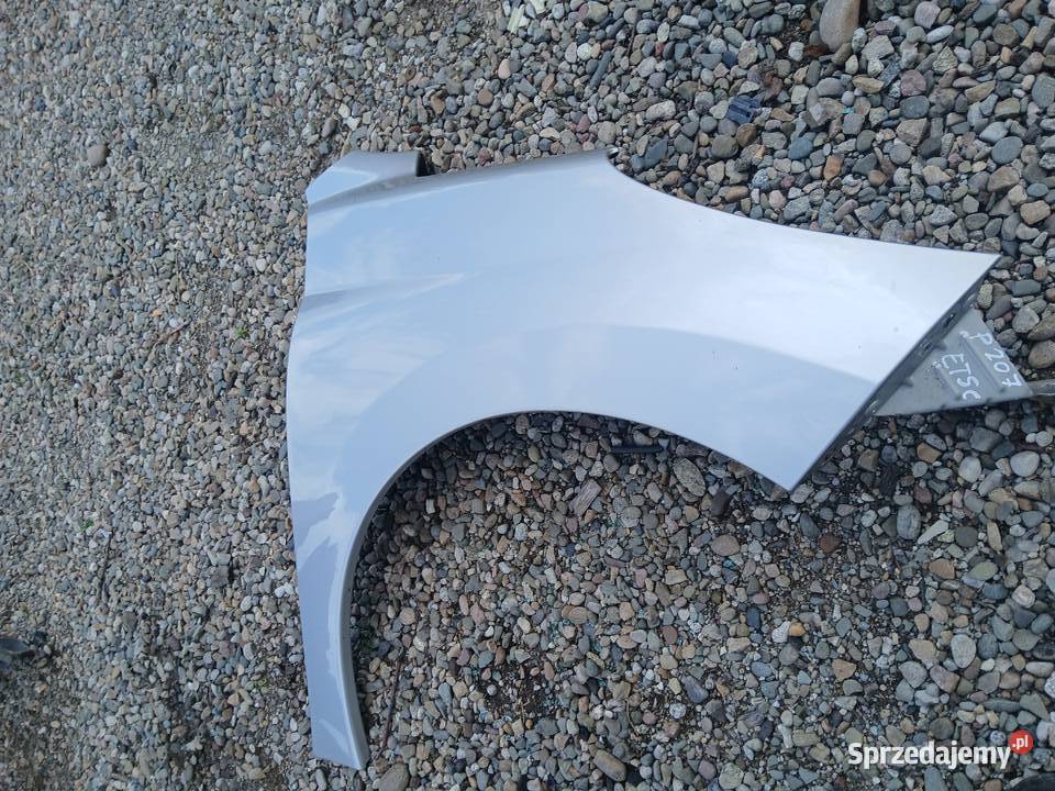 Błotnik prawy przedni Peugeot 207 EU lak ETSC Radłów