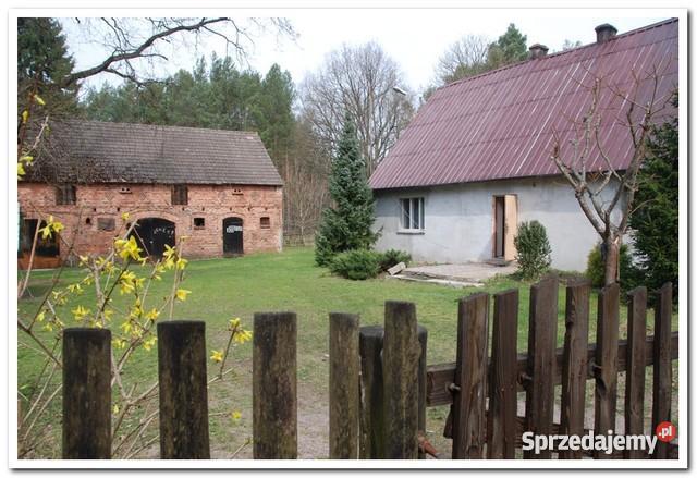 sprzedaży domu 100m2 Prądówka 2117m2 wielkopolskie