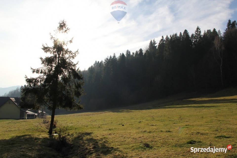 Działka budowlano rolna w miejscowości Grywałd Sprzedaż