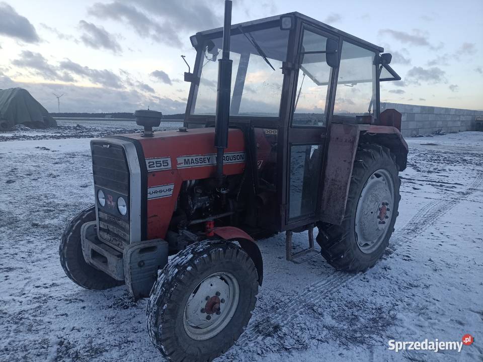 Massey Ferguson 255 MF255 opolskie Gąsiorowice