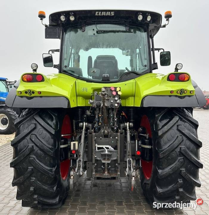 Claas Arion 550 Sokoły