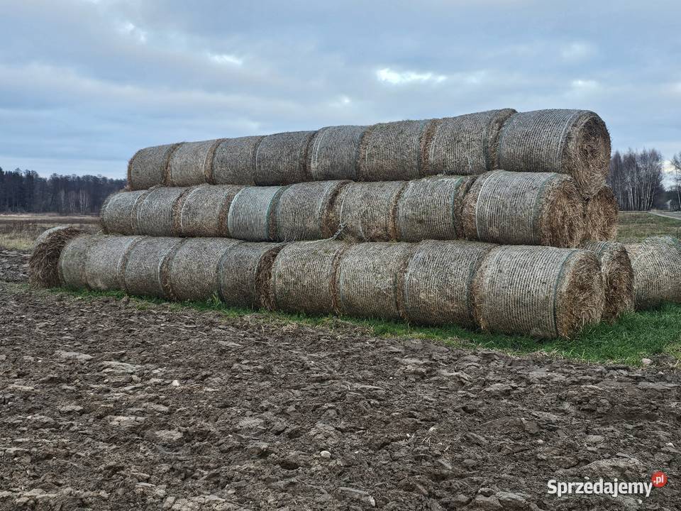 Słoma żytnia 120 Nasielsk