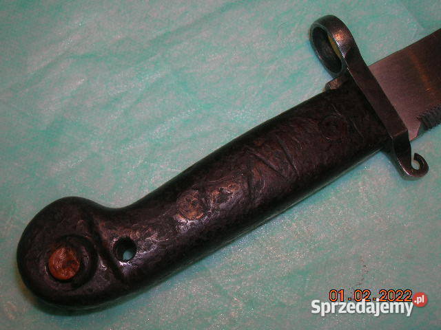 Bagnet rumuński 6H3 Łódź sprzedam