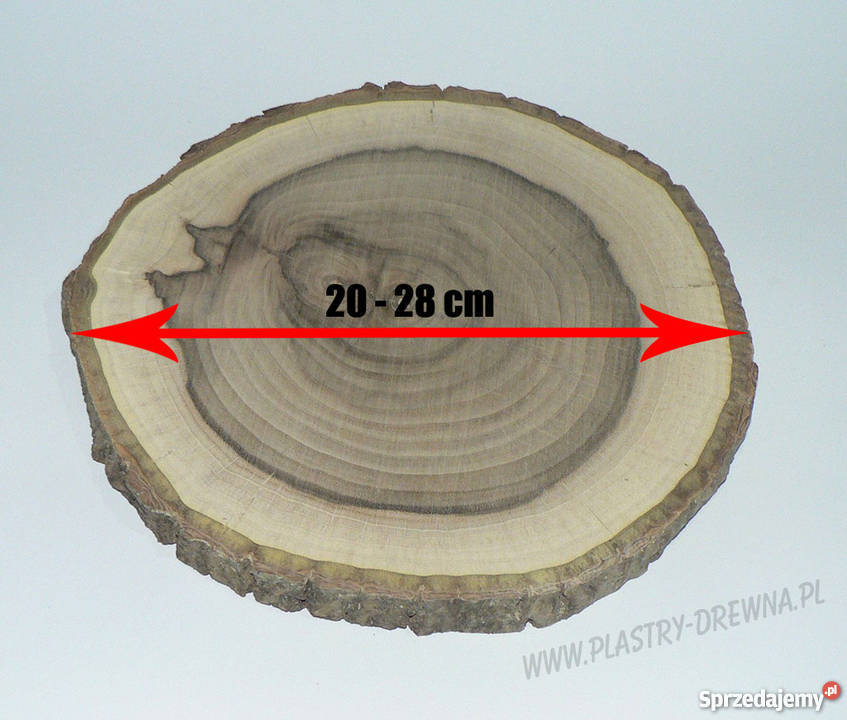 Plaster drewna orzech włoski śr 2028 HIT mazowieckie Warszawa