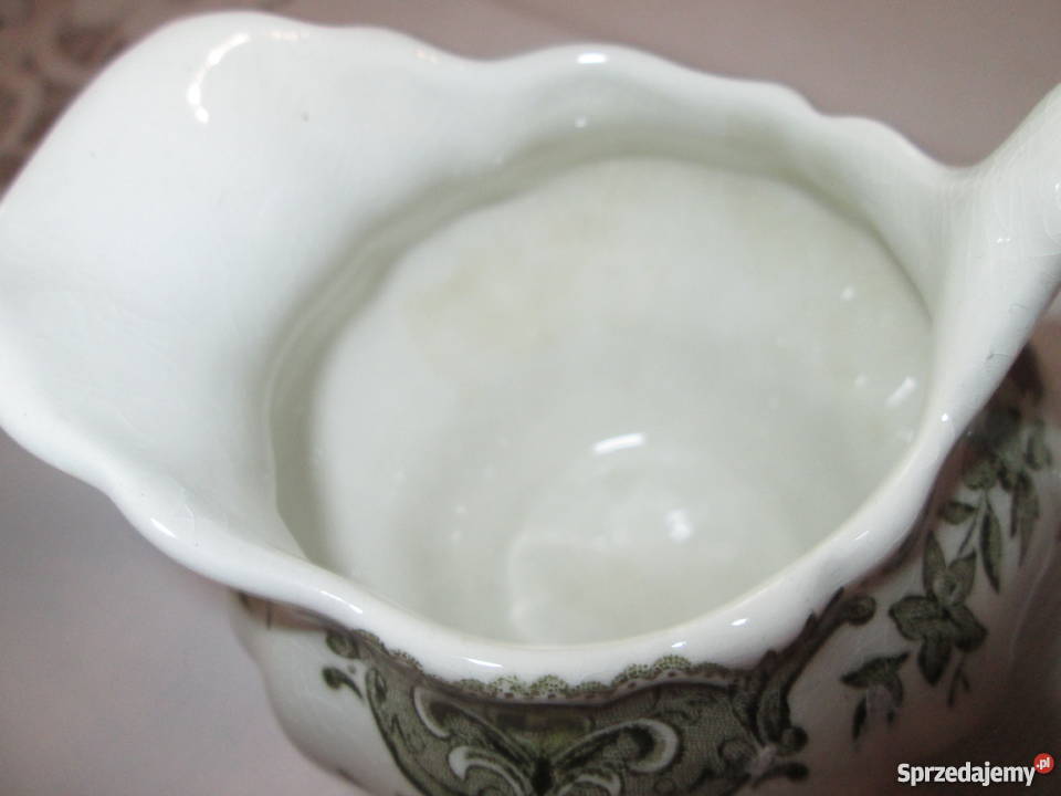 Mlecznik pomorskie Gdańsk sprzedam