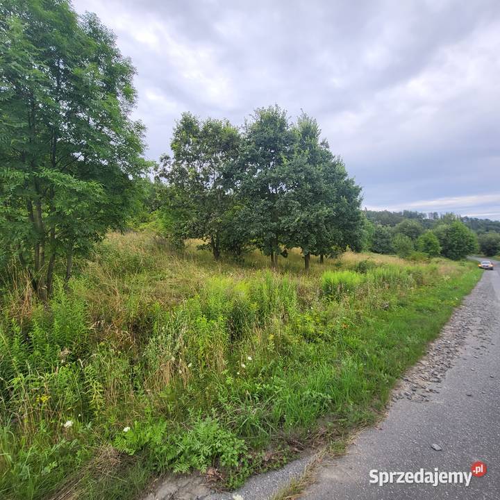 Działka niezabudowa Jaszkówka gm Kłodzko