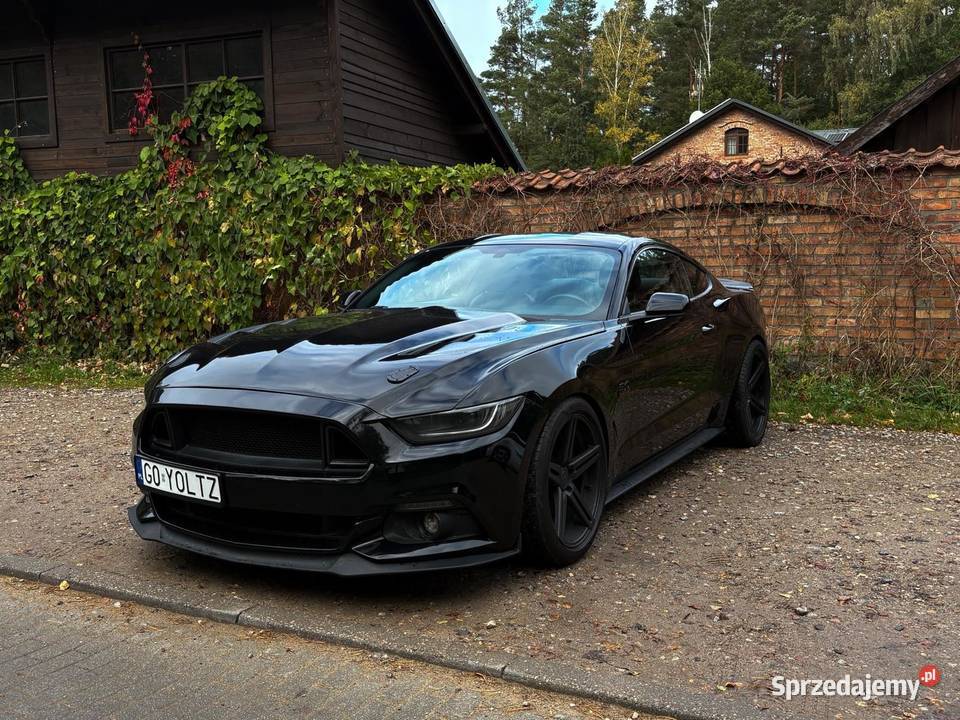 Ford Mustang GT 50 V8 Manual 2016 elektrycznie ustawiane fotele Mustang pomorskie