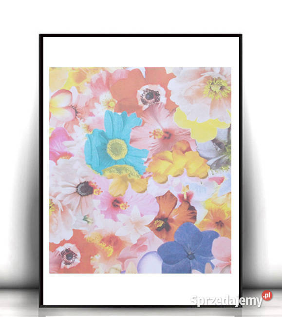 kolorowy plakat z kwiatkami kwiaty plakat A4 wielokolorowy Olsztyn