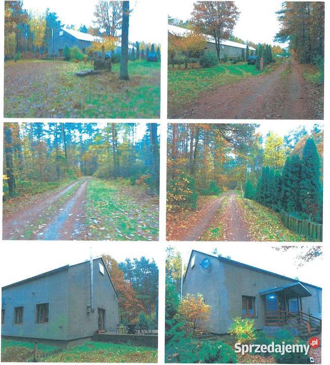 Nieruchomość Wąpiersk dz 4301