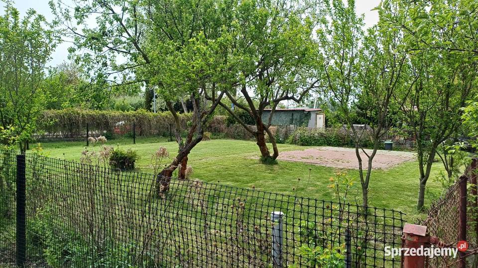 Rodzinne Ogródki Działkowe asfalt