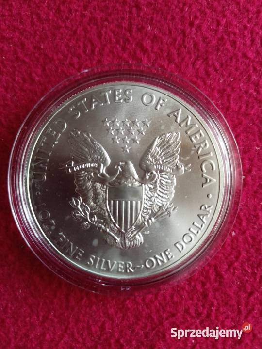 Srebrny amerykański orzeł 2016 10 sztuk Rzeszów