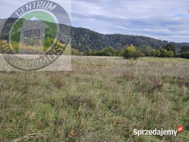 Ogłoszenie działka 1000m2 Kamienica