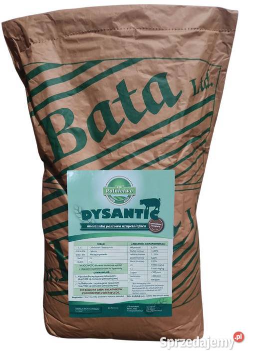 DYSANTIC 2 zwalcza dyzenterię biegunki nie Karma i Pasza Produkcja zwierzęca Pawłówek