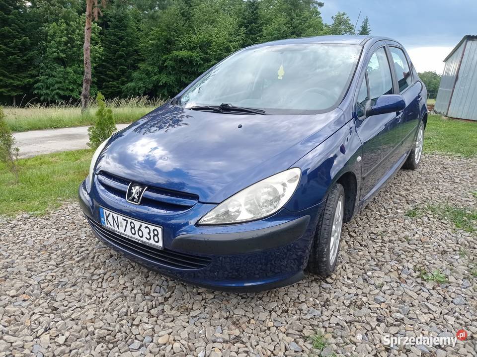 Peugeot 307 Kąclowa