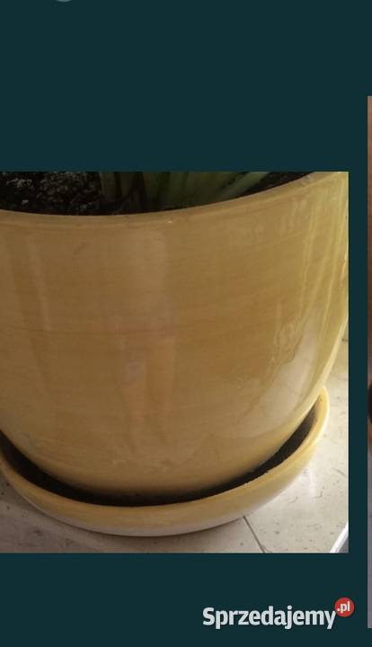 Doniczka ceramika 9 odcienie żółtego Nisko sprzedam