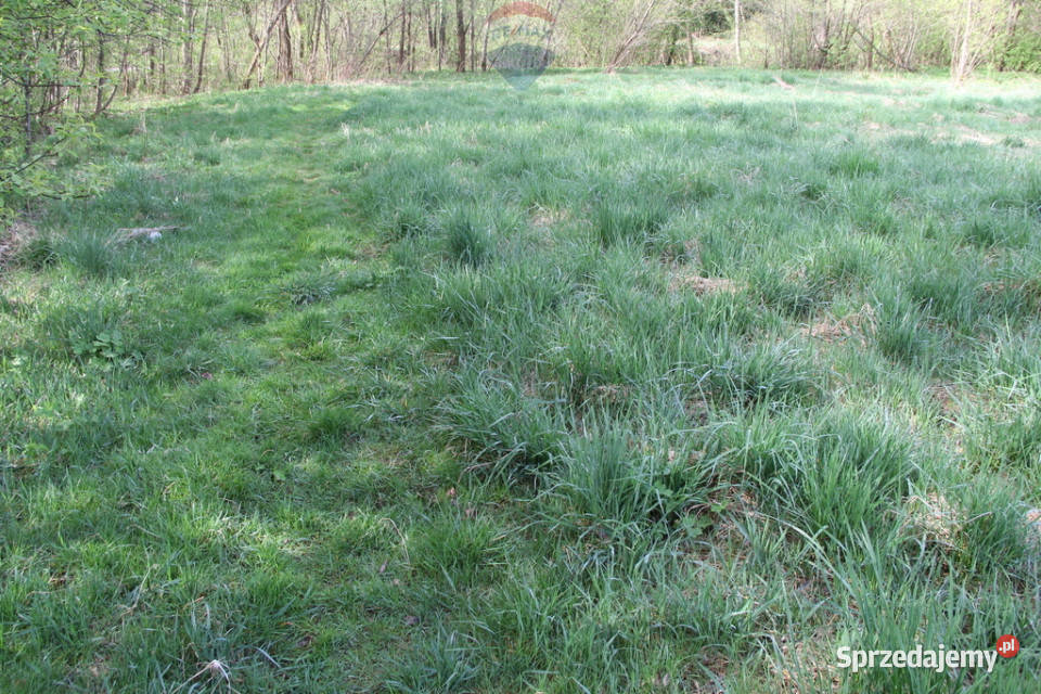 Kompleks działek w miejscowości Skomielna Biała 0m