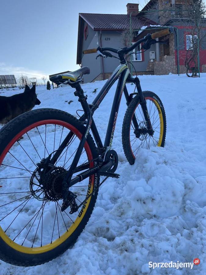 Dartmoor primal Górskie, MTB Wielopole Skrzyńskie