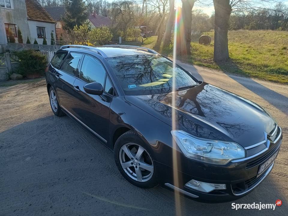 Citroen C5 20 HDI 2009R 301000km lubuskie