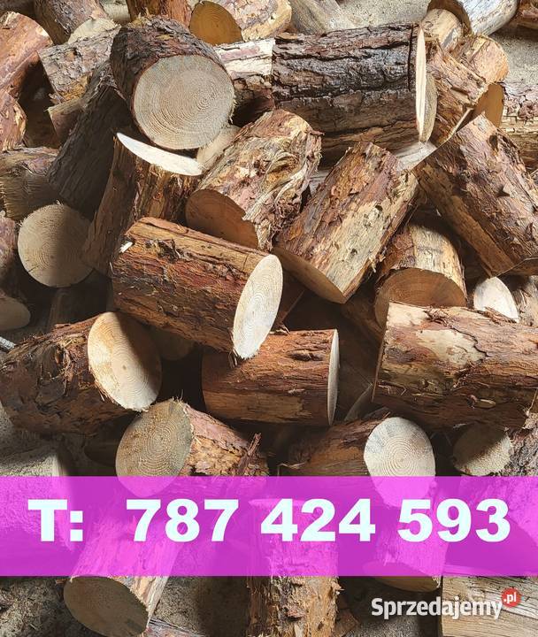 drewno opałowe kominkowe rozpałlowe suche Częstochowa