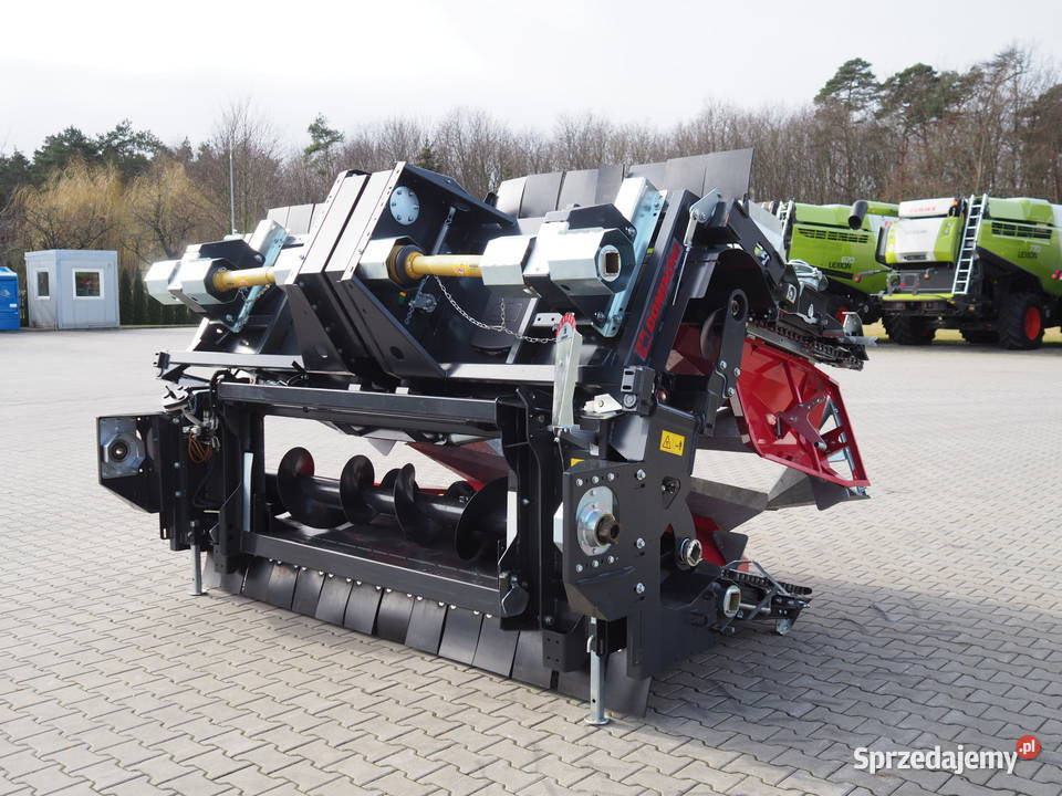 Dominoni SL 978 BG ROCK Heder do kukurydzy Claas sprzedam