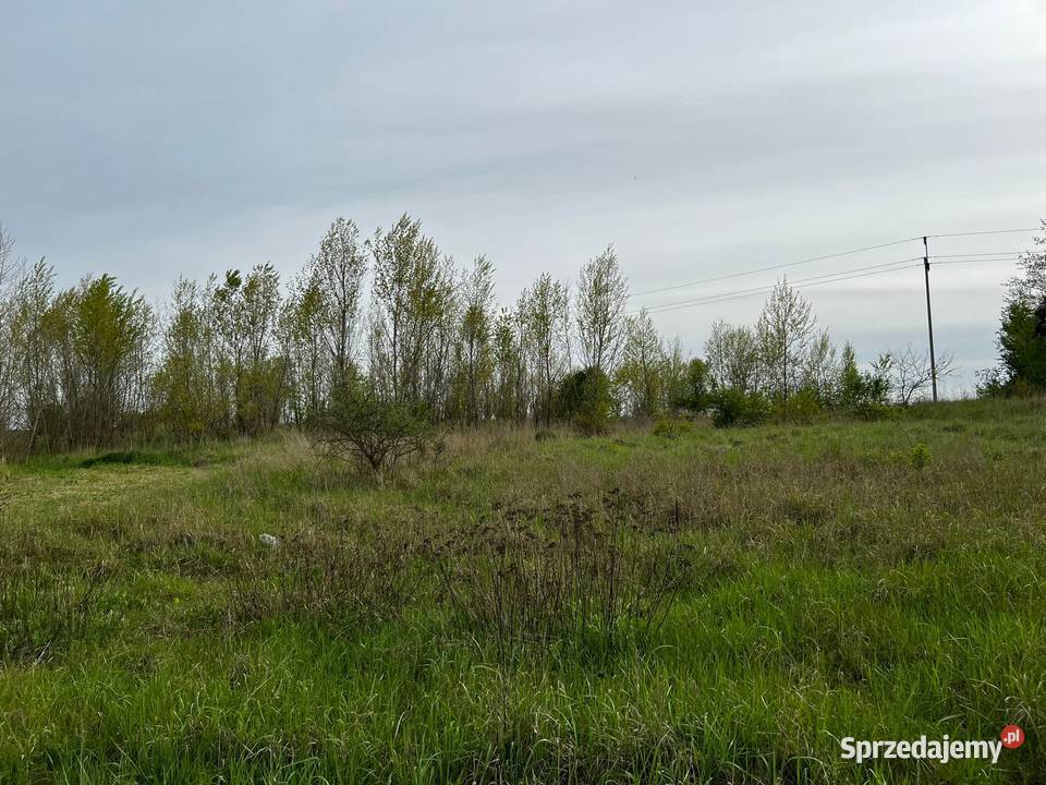 Działka drodze asfaltowej lubuskie Kolsko